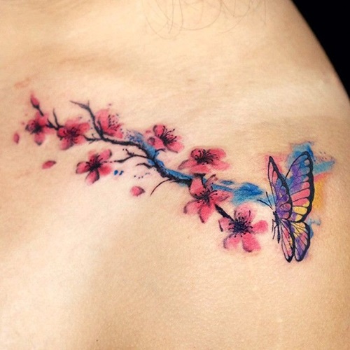 Cherry Blossoms and Butterfly