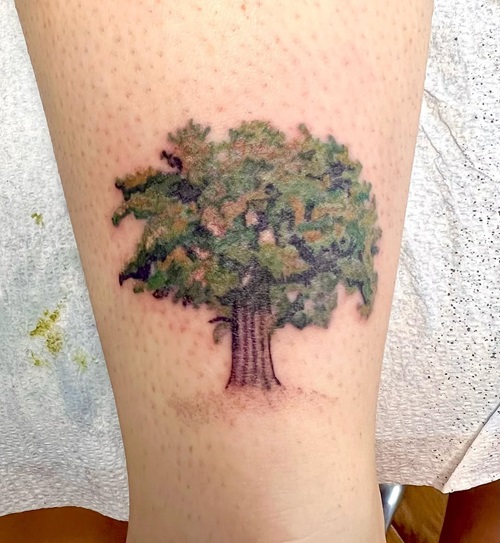  Green Oak on the Leg