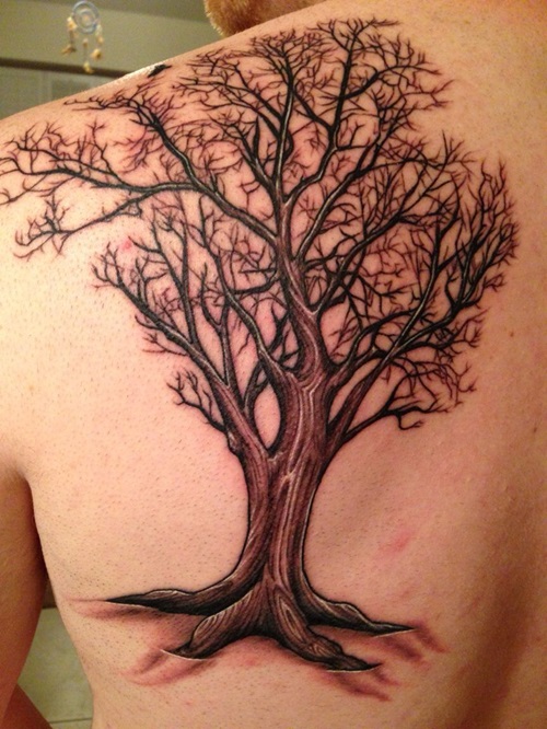  Oak Tree on the Back