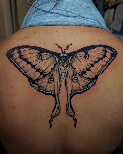 Unique Luna Moth Tattoo Designs for Men & Women 5