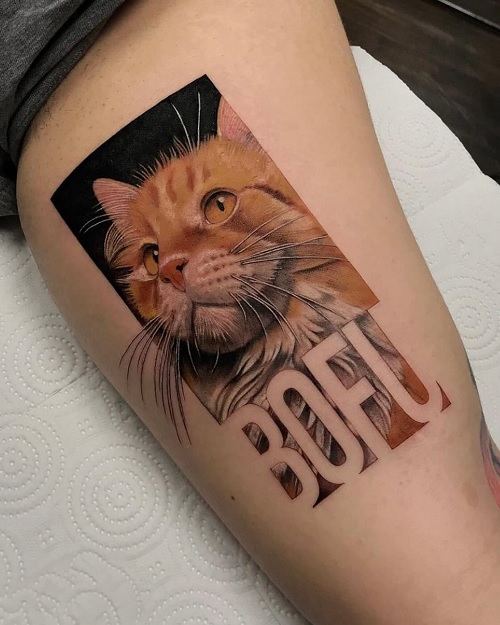 realistic cat tattoo