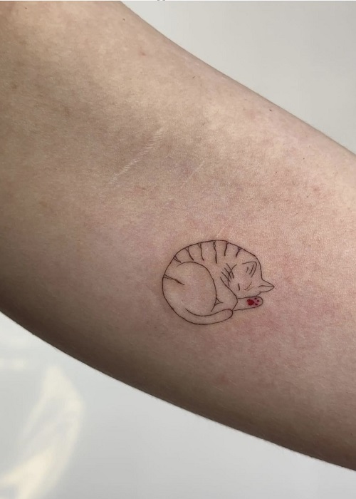 Small Sleeping Cat Tattoo 4
