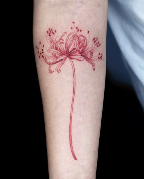 Spider Lily Flower Tattoo1