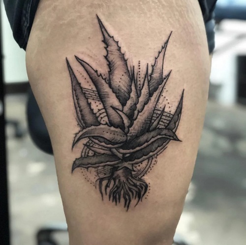 Aloevera