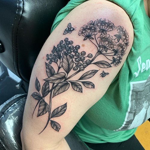 elderberry
