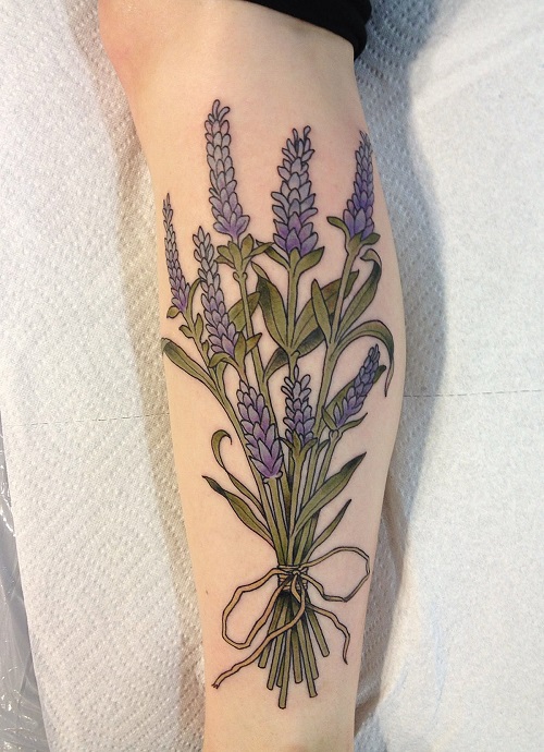 Lavender
