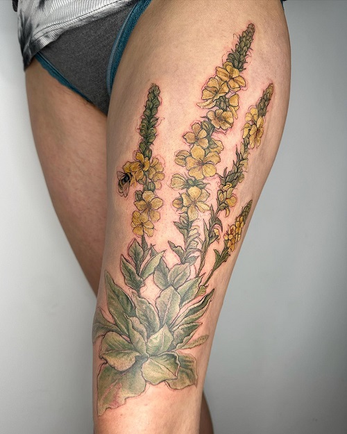 Mullein