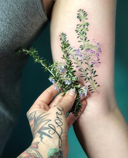 Rosemary