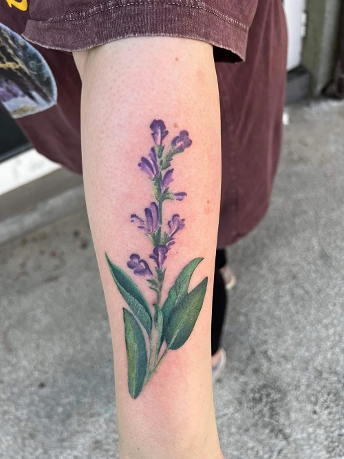 sage