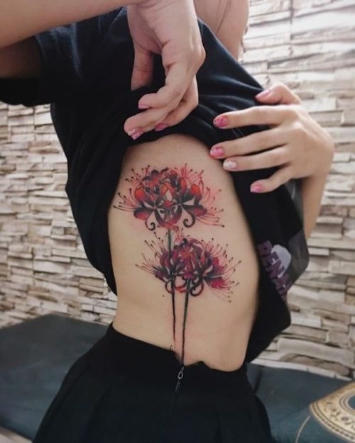 spider lily flower13