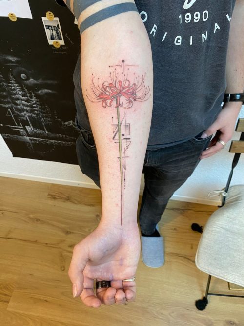 spider lily flower14@