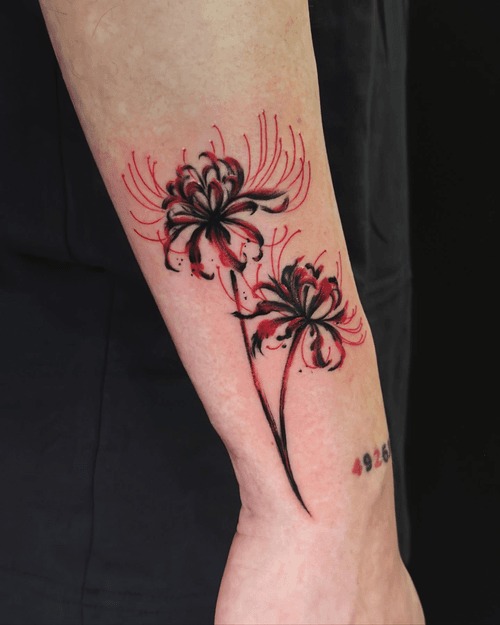 spider lily flower15