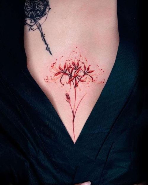 spider lily flower16@