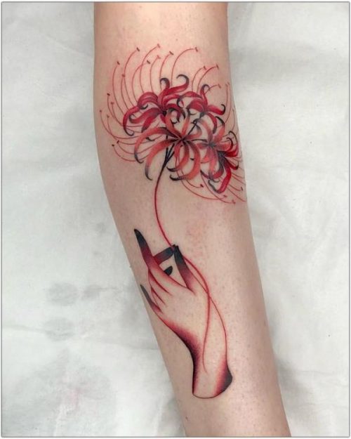 spider lily flower17@