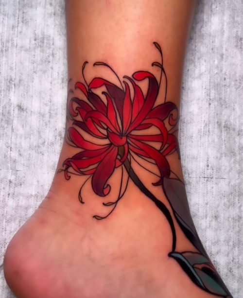 spider lily flower18