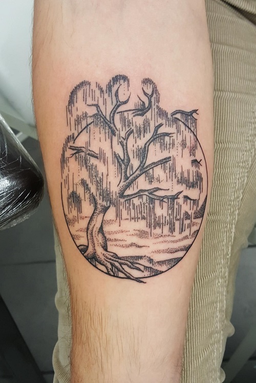 Willow Tree