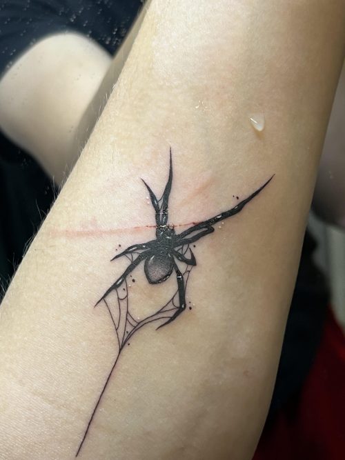 Spider Tattoo13