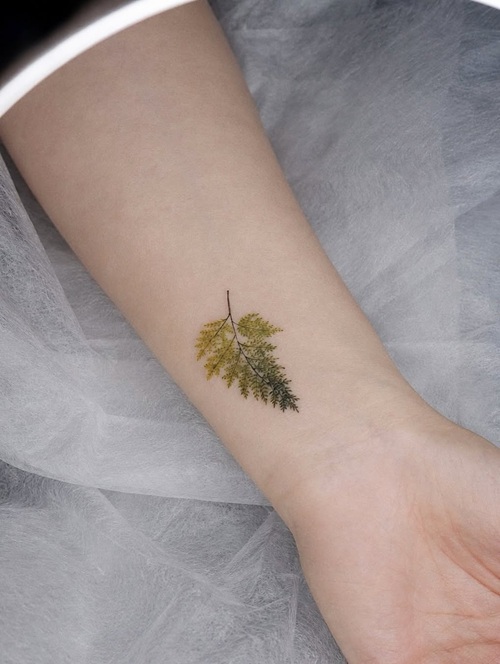 Delicate nature tattoo
