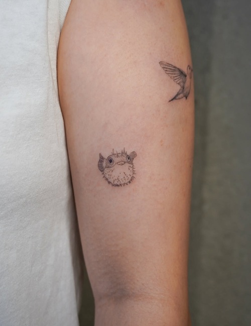 Tiny marine life tattoo