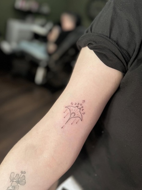 Tiny marine life tattoo